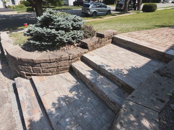 Block wall and steps with plantings