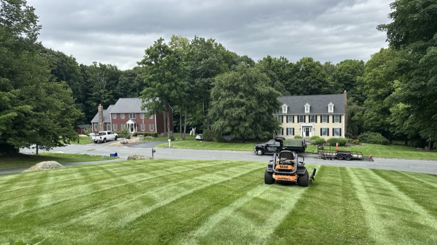 Striped front lawn with a zero-turn mower