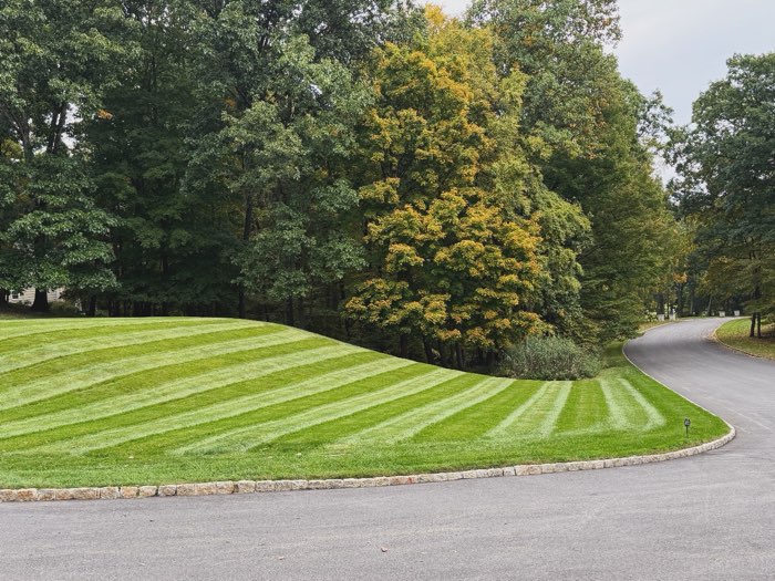Striped lawn following a curved driveway